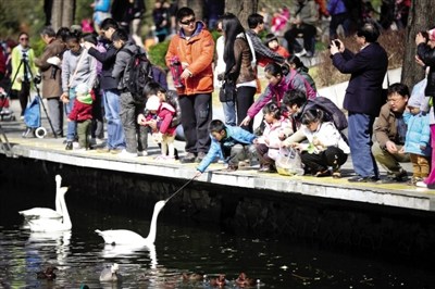 北京尚无H7N9感染病例报告动物园观鸟保持距离