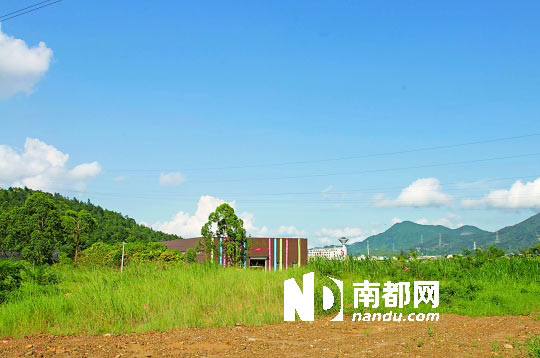 昨日，坪山区碧岭社区园内的一座艺术馆前杂草丛生。实习生 吴明 南都记者 陈以怀 摄