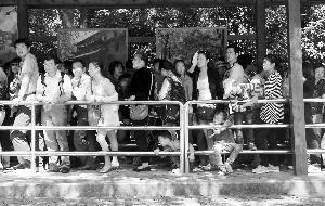 南京中山陵景区，等公交车的游客排长队 现代快报记者 李雨泽 摄