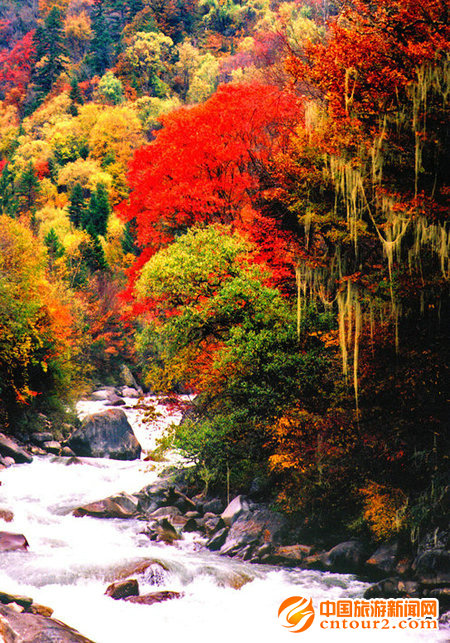 达古冰山红叶