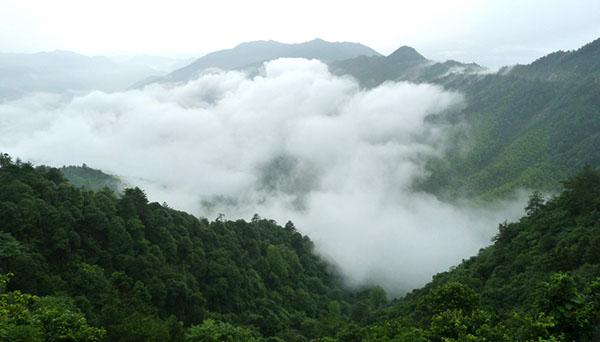 游客选出“最坑爹景区”：三亚凤凰古城等上榜