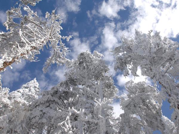 今冬四川首个滑雪场开放 峨眉山13日正式开滑