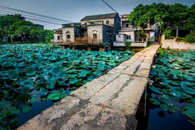 旅游营销新时代 鹤山古劳"水乡"品牌受追捧