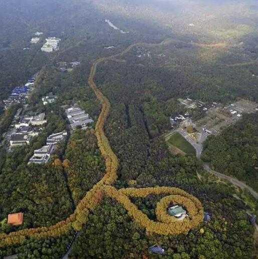 南京现“最美项链”景观 或为蒋介石送给宋美龄的“惊喜”