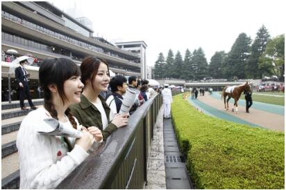 日本国民娱乐“赛马”成中国游客最新热门观光项目