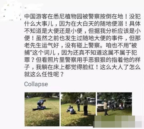 网友朋友圈截图