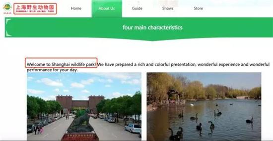 上海野生动物园官网现奇葩翻译外国游客越看越懵