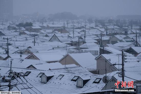 资料图：日本东京降雪。